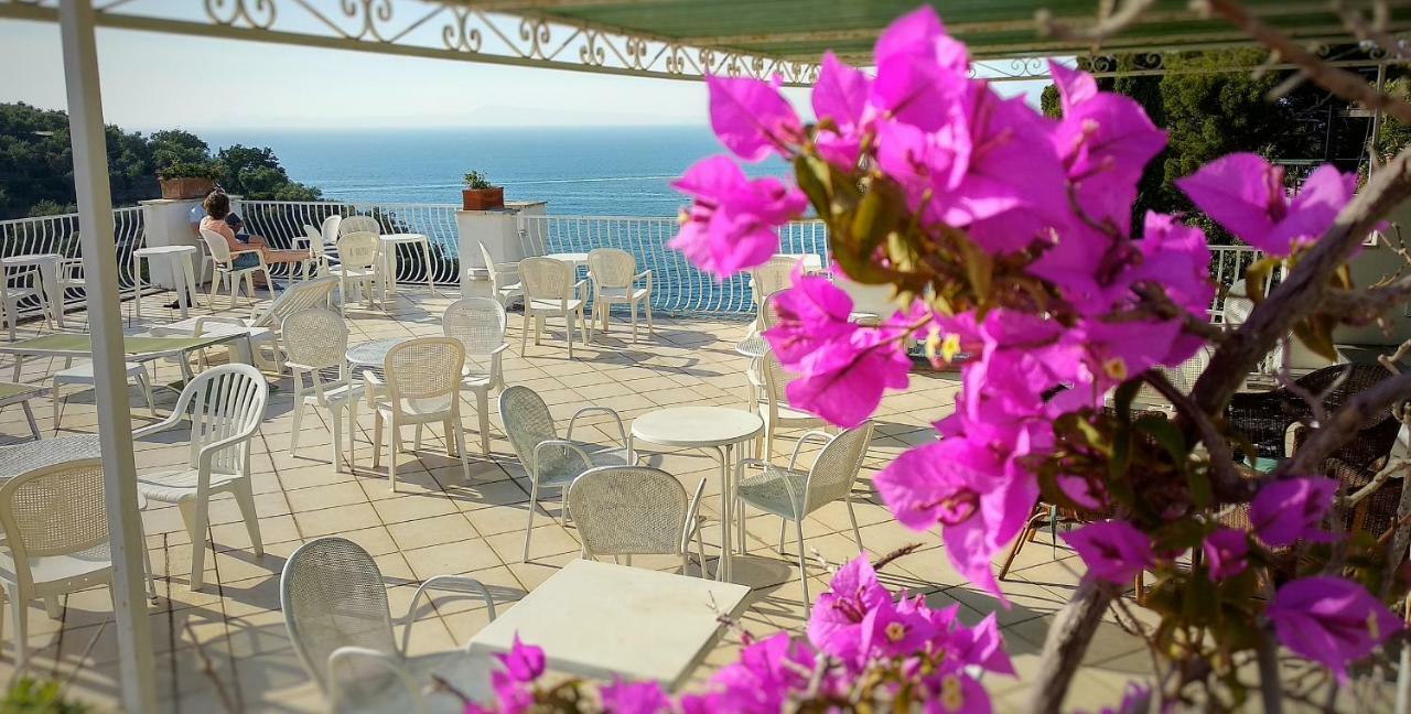 Hotel Desiree Sorrento Esterno foto